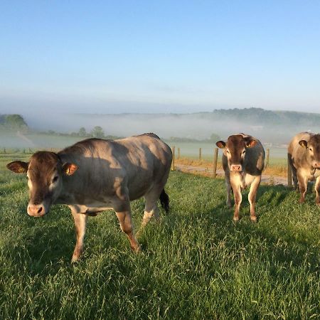 הוילה וורטינג South Downs Rural Retreats מראה חיצוני תמונה